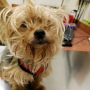 Meet your Posher, Alexis